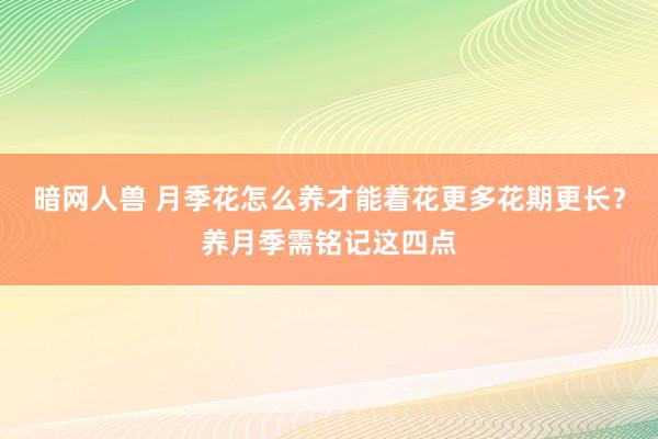 暗网人兽 月季花怎么养才能着花更多花期更长？养月季需铭记这四点