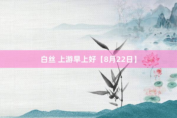 白丝 上游早上好【8月22日】