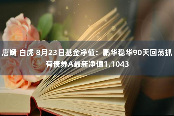 唐嫣 白虎 8月23日基金净值：鹏华稳华90天回荡抓有债券A最新净值1.1043