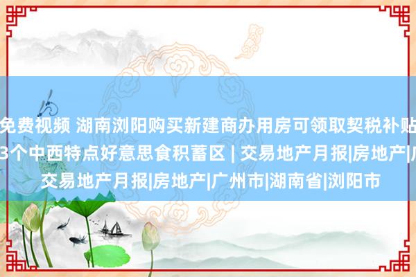 免费视频 湖南浏阳购买新建商办用房可领取契税补贴，广州优先扶植建立3个中西特点好意思食积蓄区 | 交易地产月报|房地产|广州市|湖南省|浏阳市