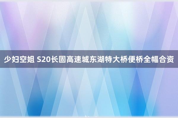 少妇空姐 S20长固高速城东湖特大桥便桥全幅合资