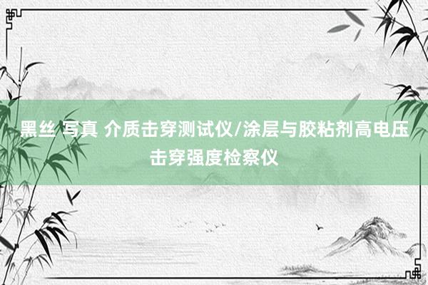 黑丝 写真 介质击穿测试仪/涂层与胶粘剂高电压击穿强度检察仪