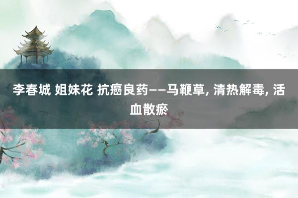 李春城 姐妹花 抗癌良药——马鞭草， 清热解毒， 活血散瘀