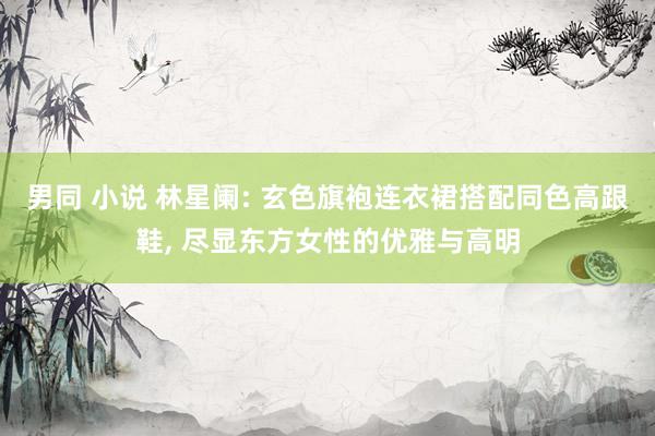 男同 小说 林星阑: 玄色旗袍连衣裙搭配同色高跟鞋， 尽显东方女性的优雅与高明