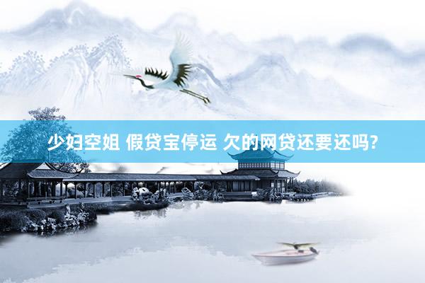 少妇空姐 假贷宝停运 欠的网贷还要还吗?