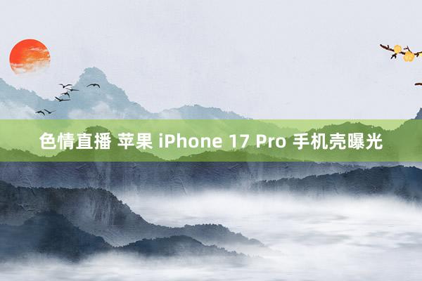 色情直播 苹果 iPhone 17 Pro 手机壳曝光