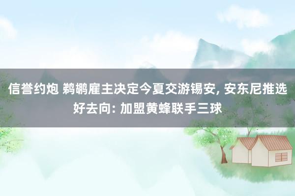 信誉约炮 鹈鹕雇主决定今夏交游锡安， 安东尼推选好去向: 加盟黄蜂联手三球