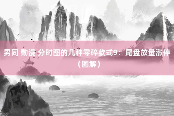 男同 動漫 分时图的几种零碎款式9：尾盘放量涨停（图解）