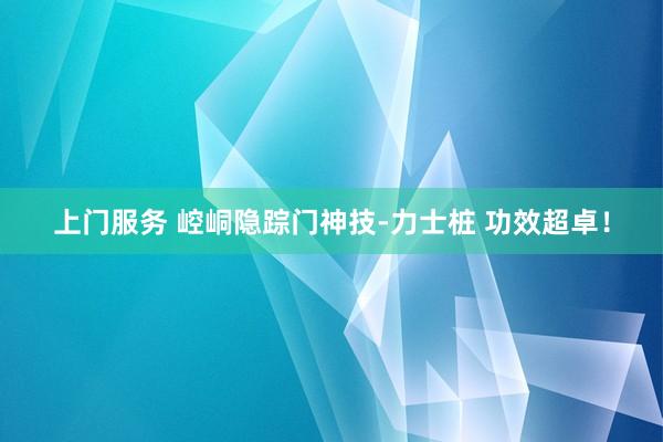 上门服务 崆峒隐踪门神技-力士桩 功效超卓！
