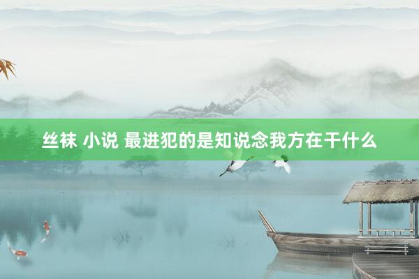 丝袜 小说 最进犯的是知说念我方在干什么
