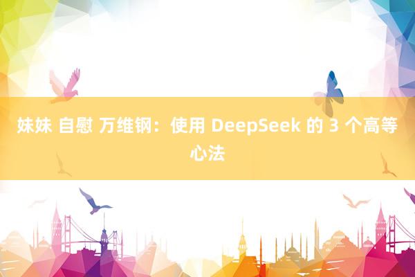 妹妹 自慰 万维钢：使用 DeepSeek 的 3 个高等心法